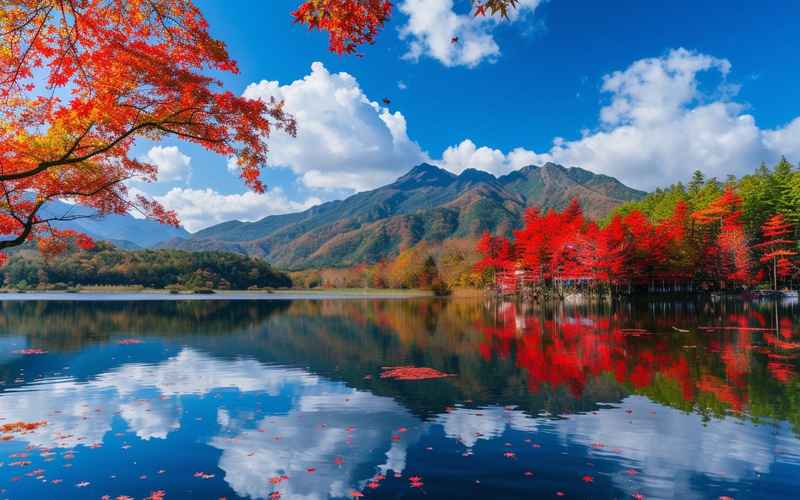 济南旅游攻略:秋日天堂的必去景点推荐 济南旅游攻略:秋日天堂的必去景点推荐