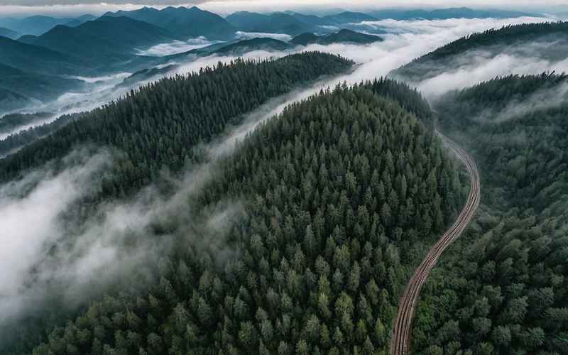 风景与自然的完美融合：你的翠云廊旅游攻略