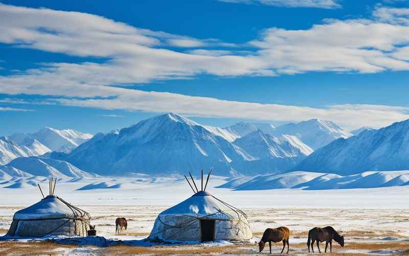 新疆冬天美景与民宿体验指南