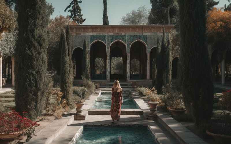 《德黑兰星光下的红蔷薇情缘》