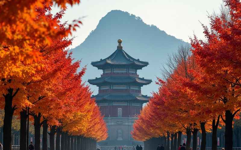 竟然还有人去韩国旅游?这热门目的地怎么这么少人去? 竟然还有人去韩国旅游?这热门目的地怎么这么少人去?