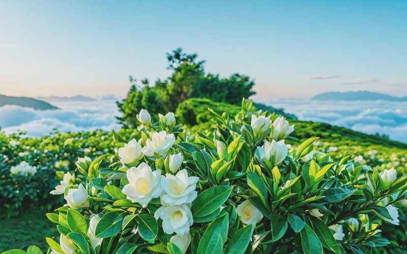 探索自然與人文的絕美景色