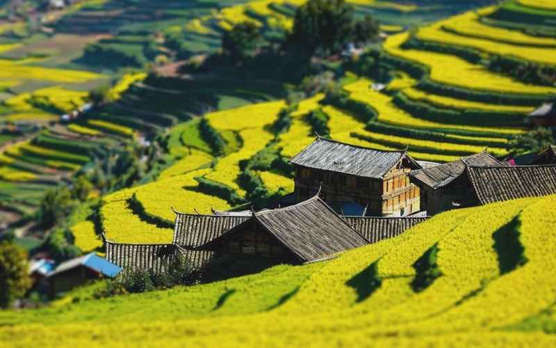 自然風(fēng)光與文化體驗(yàn)完美結(jié)合