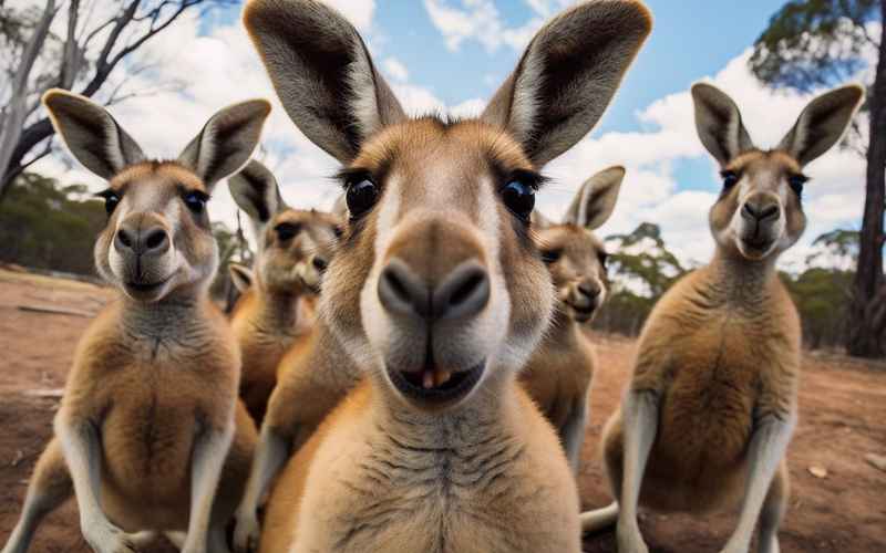 西乡旅游景点推荐排名:必游秘境TOP榜单 西乡旅游景点推荐排名:必游秘境TOP榜单