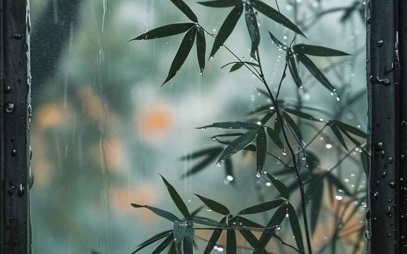 暮色烟雨尽处，再寻晴暖人间