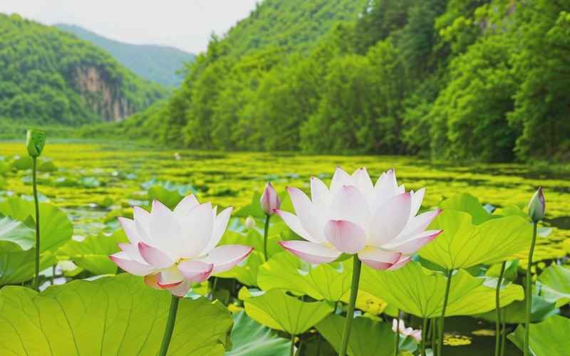 寬甸自駕游景點(diǎn)全攻略