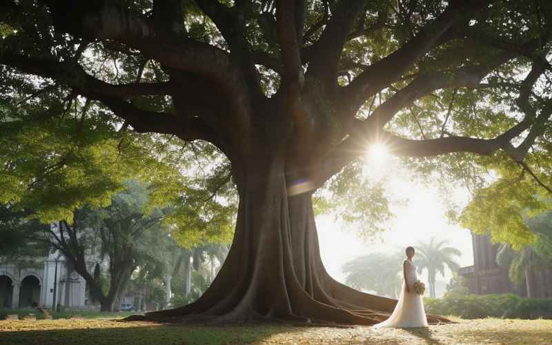 《爱与光影编织的华章》