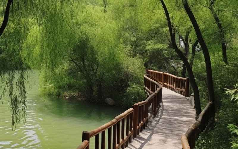 自然生态·休闲美景·感受沈阳杨城寨