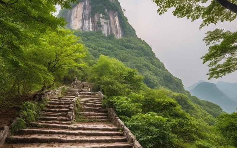 沿著縱橫古道，駝鈴踏步