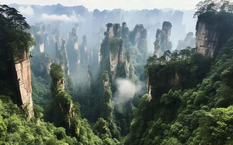 長沙至張家界旅游專營線路