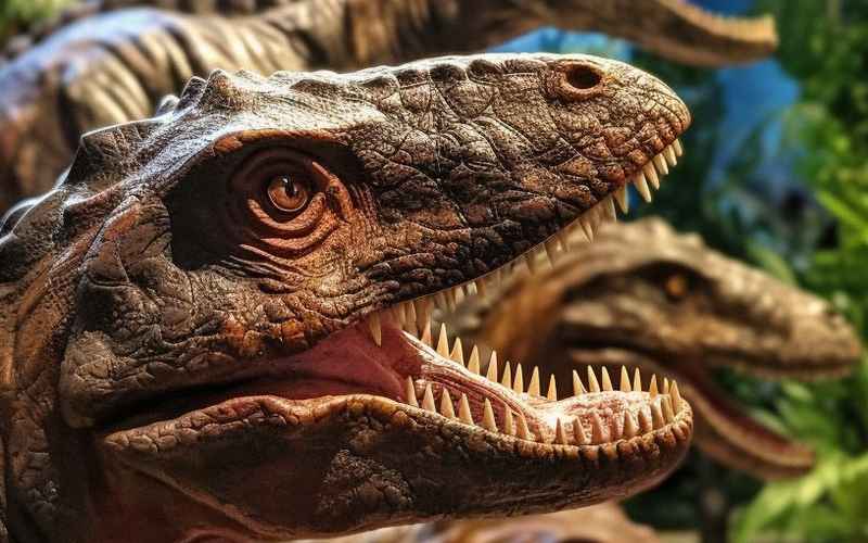 中华侏罗纪探秘之旅 中华侏罗纪探秘之旅