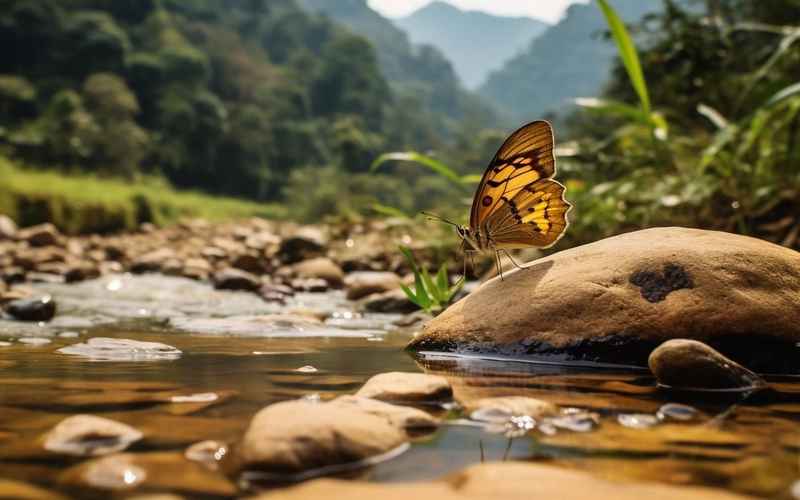 探秘大自然的奇妙