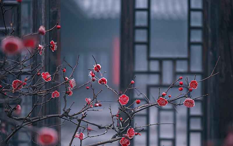 嬉笑戏谑一书院，不懂也解众生忧