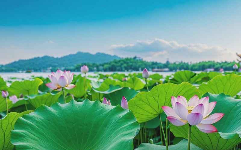 2023年7月旅游絕美目的地推薦