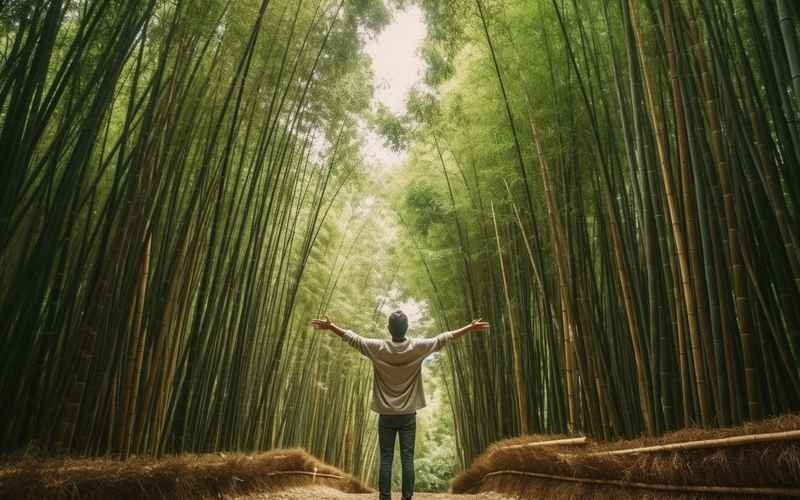 《桂林山水+南寧地鐵：壯美與文明的碰撞》