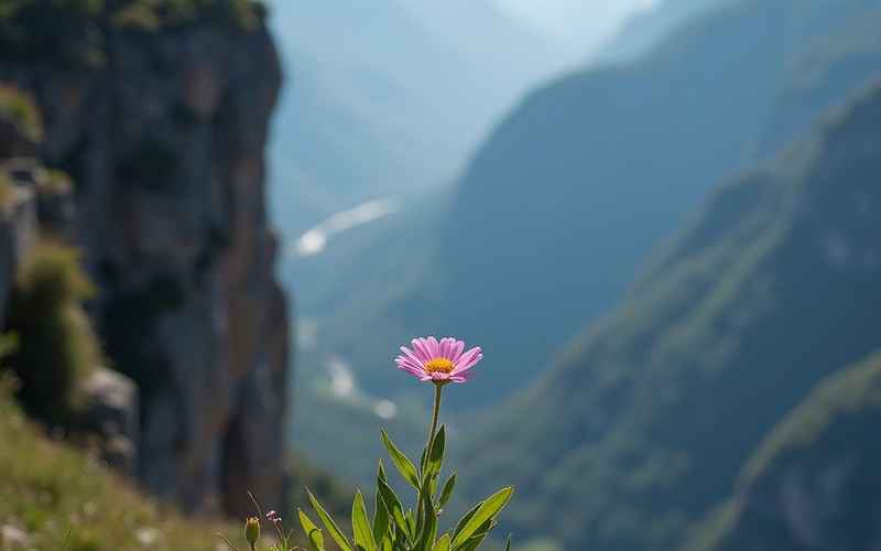 格鲁吉亚7-8月旅游胜地:春暖花开 格鲁吉亚7-8月旅游胜地:春暖花开