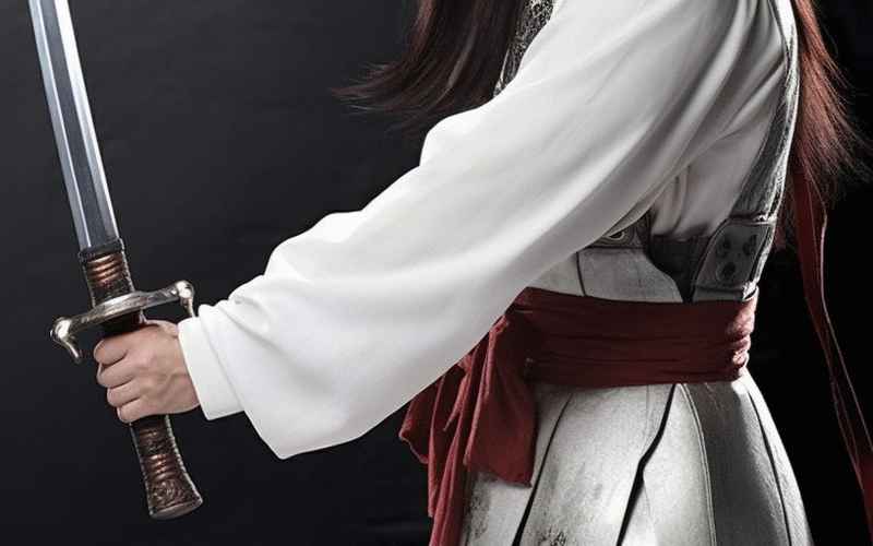 飞刀入世侠骨丹心谱新传