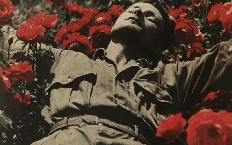 《血火淬成花——川军娘子军的英勇岁月》 《血火淬成花——川军娘子军的英勇岁月》