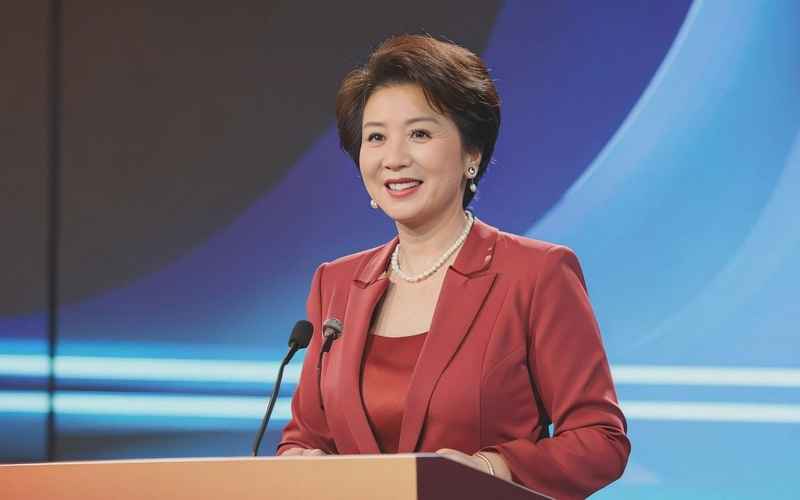 張海燕電視劇—張海燕電視劇大宅門金蓮