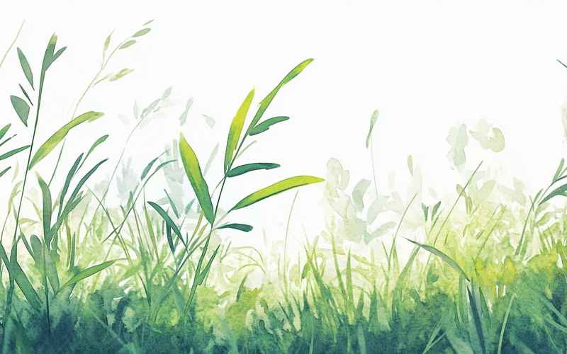 春风草暖爱长明