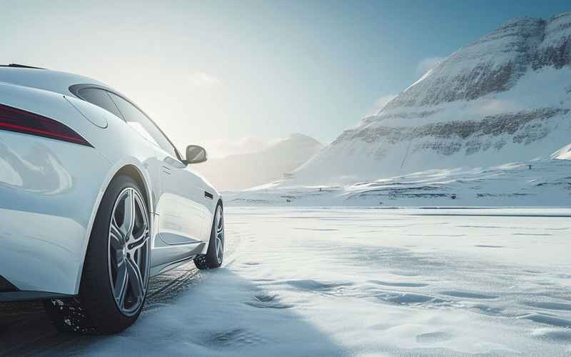 汽车风控、汽车风控卫士VRC1000