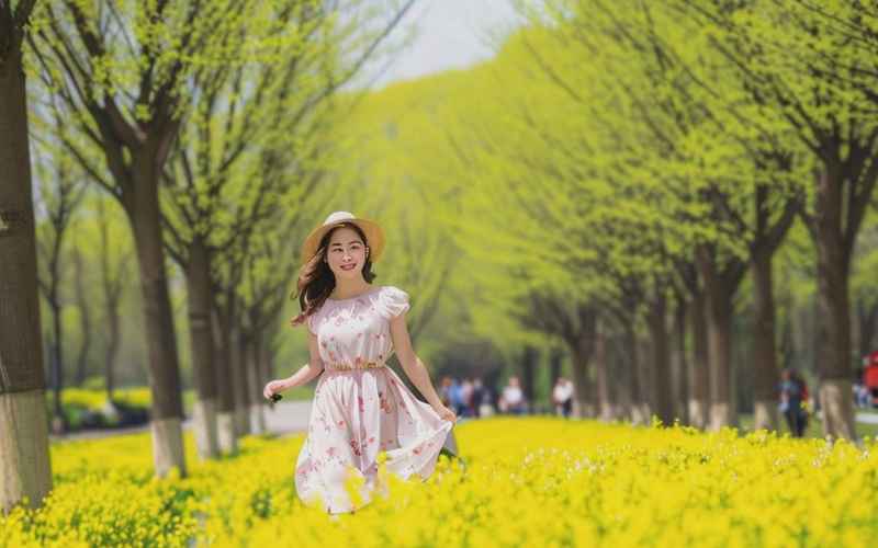 春意阑珊假日梦