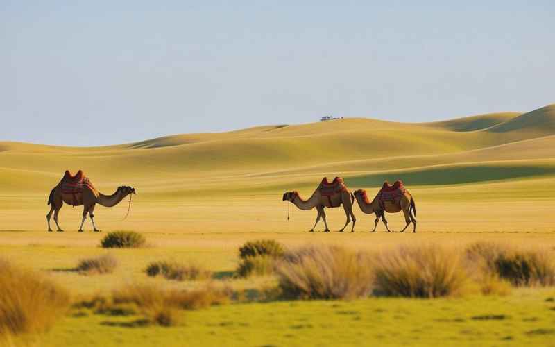 大漠草原，巴彦淖尔秘境