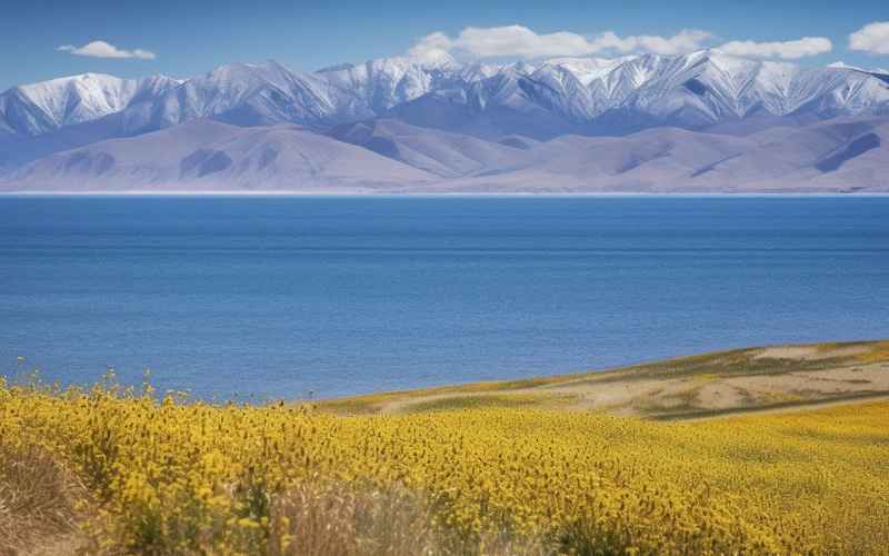 風景與自由，盡在西寧探索大西洋、青海湖的奇妙世界