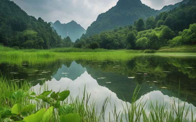 生態風光·山林蘭泉
