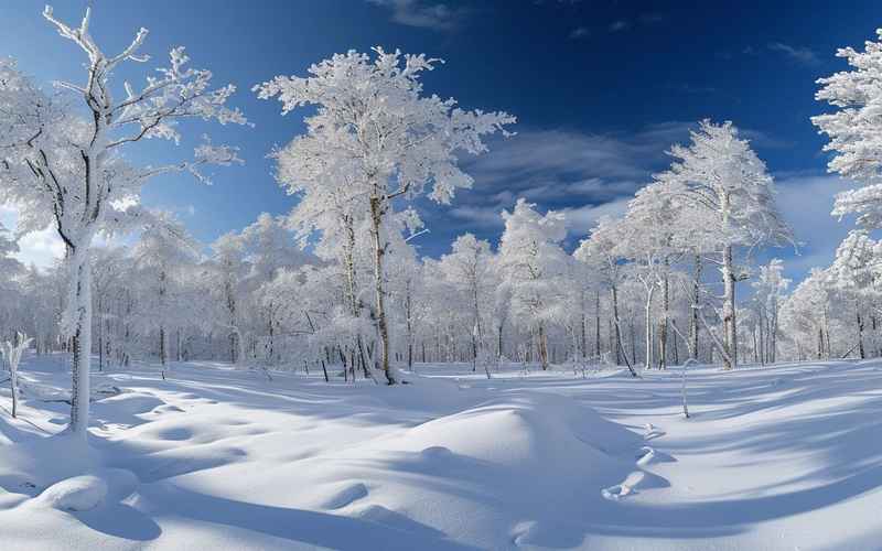 阿尔山冰雪大观