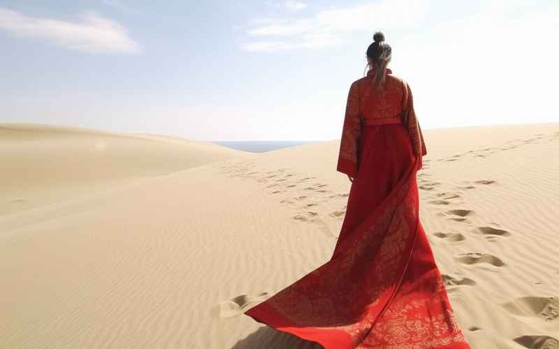 策馬狂沙嘯西風(fēng)?俠骨丹心走天涯