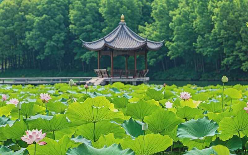 离江苏最近的旅行胜地 离江苏最近的旅行胜地