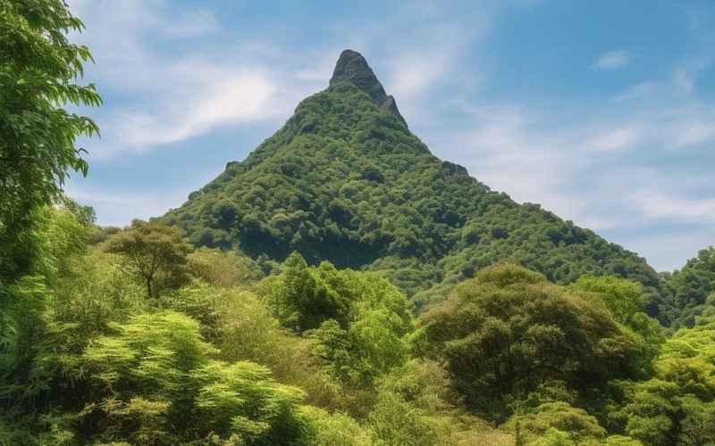 桂山風景，風采迷人