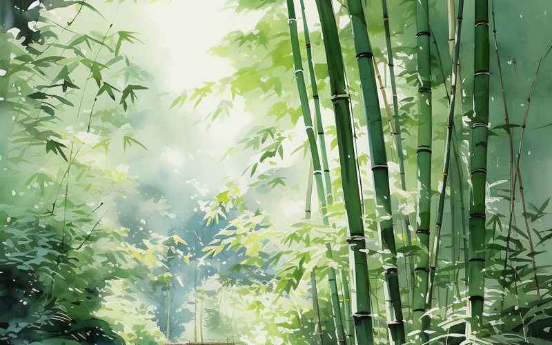 林风寄月深巷竹