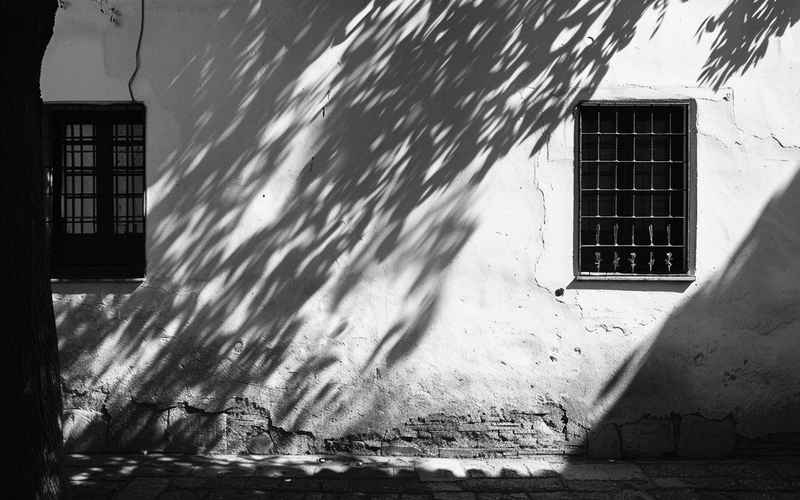 光影，东西同辉