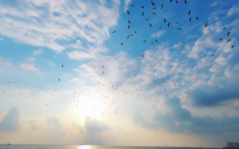 日照绝美海滨度假胜地 日照绝美海滨度假胜地