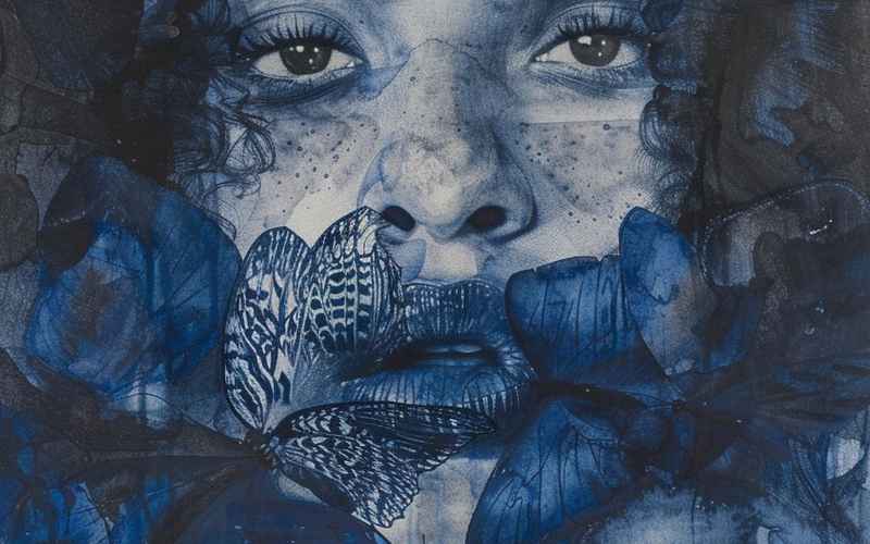 《蓝蝶劫影:迷雾织锦》 《蓝蝶劫影:迷雾织锦》