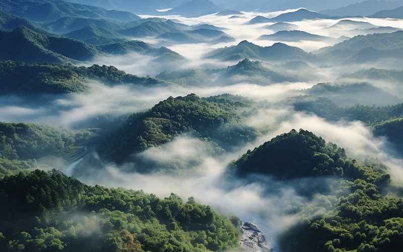 吕梁山景美如诗画春意盎然