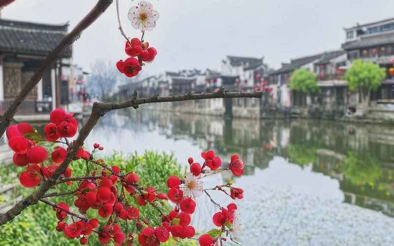 西递秘境，绝美之旅·西递旅游攻略