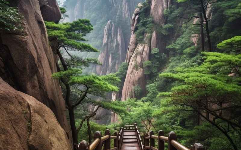 杭州黄山自然风光自助游攻略：全攻略与路线规划