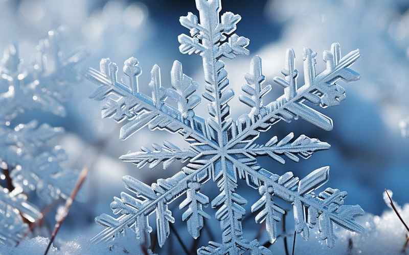 温情融冰岁终时