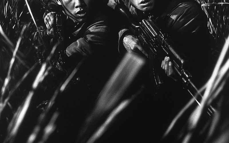 狼影逐途下的血色生路