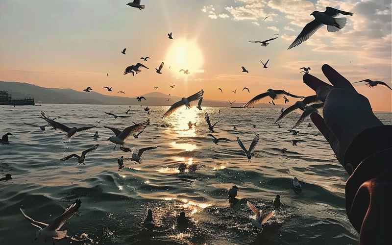 昆明滇池西山秘境之旅