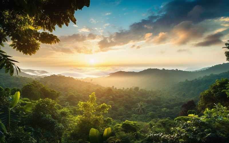 生态与探险的完美融合，热带风景，亚庇旅游指南