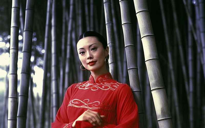 沧海横流，铁骨丹心——94版剧再承英雄气